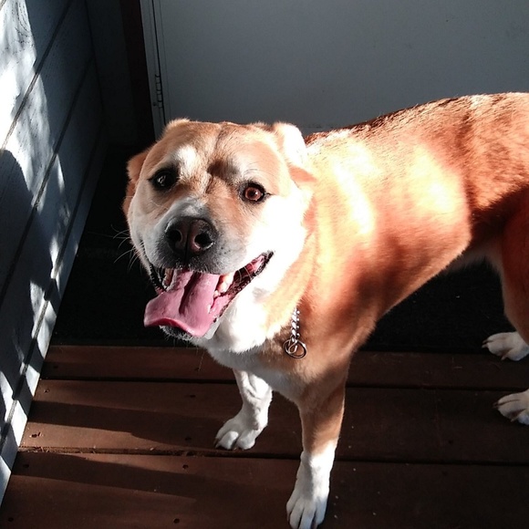 Meet your Posher, Camdyn - Picture 1 of 1